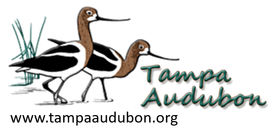 Tampa Audubon Society